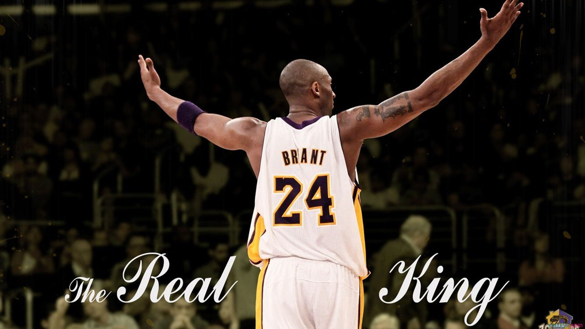 中国男篮的坚持让世界尊敬,谈中国男篮